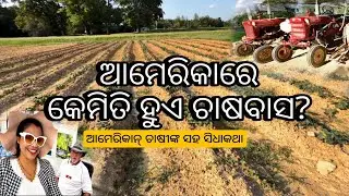 ଆମେରିକାର କୃଷି | farming in america | odia nri vlogger in america
