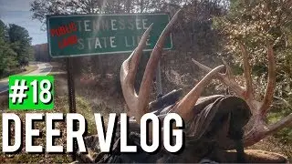 ОБЩЕСТВЕННАЯ ЗЕМЛЯ 12-пойнтовый олень - 5,5 лет - DEER VLOG S8 #18