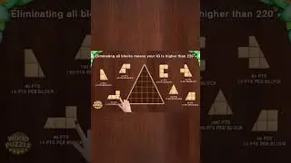 Wood Block Puzzle V20- 800x1200