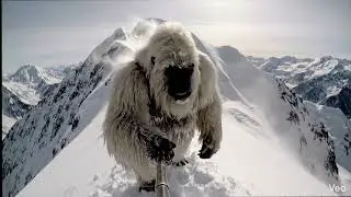 Yeti vlogs his icy mountain adventures with a selfie stick.