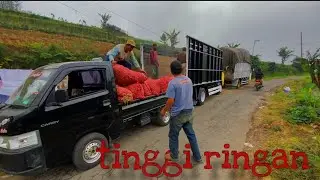 magelang 🔛 lombok timur ☑️ pengiriman bawang #pengirimanbawangpart1