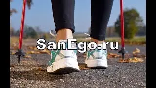 Палки для скандинавской ходьбы телескопические Ergoforce E 0673