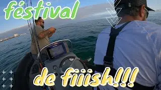 peche en mer du bar et du maigre