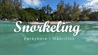 Snorkeling - Mauritius Pereybere