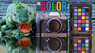 Fujifilm White Balance (how to set)