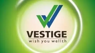 Vestige plan show 15-01-2026 re program mind