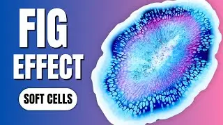 Resin Fig Effect (Soft Organic Cells) | Tips & Tricks