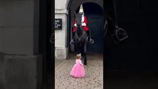 A Royal Guard Horse Did This