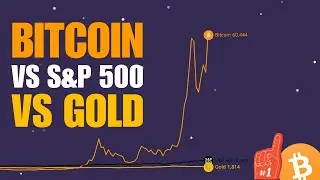 Bitcoin vs S&P 500 vs Gold Visualized
