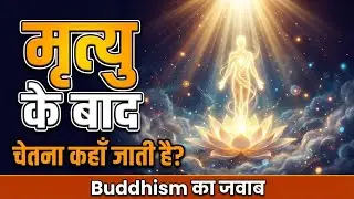 Consciousness After Death: What Happens to Your Mind?