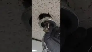 replace ceiling tile with sprinkler head