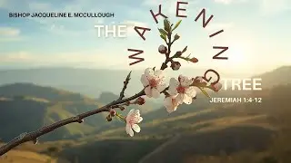 The Wakening Tree (11:15 AM) | Jeremiah 1:4-12 | Bishop Jacqueline McCullough