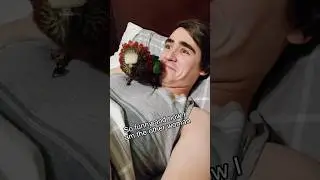 omg that's a jealous bird 🤣 #funnypets #cockatooowner #birds #jealousy #fyp #parrot #funnytok