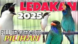 SUPER JERNIH PASTI GAMPANG MASUK❗MASTERAN CENDET FULL TEMBAKAN TENGKEK BUTO PANJANG