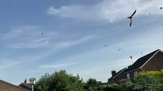 IMG 0742Bangers attack swift tower at BT29 4QA Crumlin
