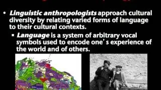 Introduction to Anthropology