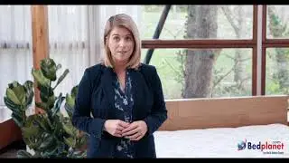Sealy Response - Response Pro Encased Coil System Mattress | Bedplanet