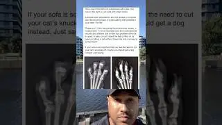 The x-ray on the left is of a declawed cat&rsquo;s paw. The one the right is of a cat with intact claws.