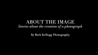 About the Image: Frog in the Garden by Barb Kellogg