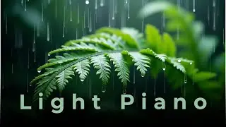 Light & Airy Piano — Gentle Morning Music for Peaceful Moments ☀️