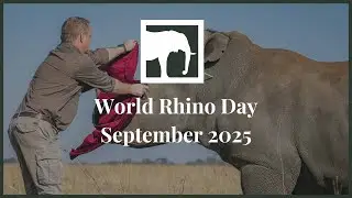 Observing World Rhino Day with WeWild Africa