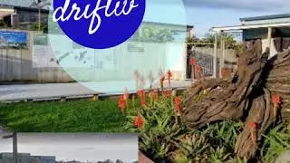 Beautiful Awards 2020 - Best Street Award Finalist - Rangiora Street, Whanganui