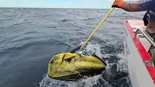 Loreto, Mexico: Fishing, Sunsets & Golf &ndash; The Ultimate Baja Adventure