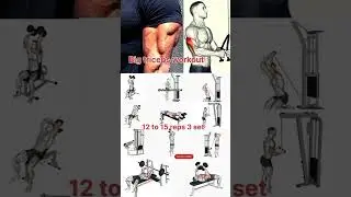 Big Triceps ,#workout