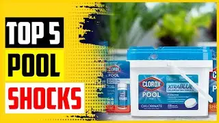 Top 5 Best Pool Shocks In 2022