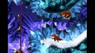 Slipslide Ride (101%) - Donkey Kong Country 101% Walkthrough