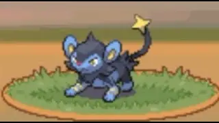 How to catch Luxio in Pokemon Platinum! (Only Location)