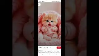 How Can You Download Pinterest Videos, Images, and GIFs on Mobile