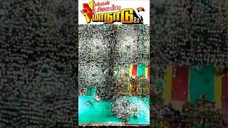 #premalatha vijayakanth#dmdk manadu 2.0#shorts#latestnews# தேமுதிக மாநாடு# கேப்டன் விஜயகாந்த்