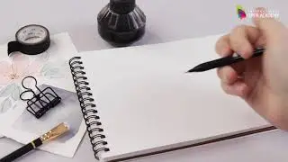 Contour drawing