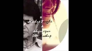 Markus Toepfer & Shajariyan  ( DSM Mashup)