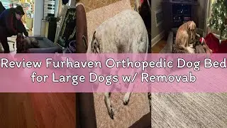 Review Furhaven Orthopedic Dog Bed for Large Dogs w/ Removable Bolsters & Washable Cover, For Dogs U