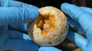 Polished Crazy Lace Agate Crystal Gemstone Sphere Decor Ball #RBL267