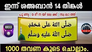 ഇന്ന് ശഅബാൻ 14 തിങ്കൾ പുണ്യമദീനയിലേക്ക് 1000 സ്വലാത്ത് ചൊല്ലാം Swalath Rajab ishqmadina