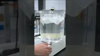s220#PackingMachine #FoodIndustry #AutomationTech #IndustrialEquipment #BeveragePackaging #factory