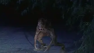 Chupacabra at night in the forest