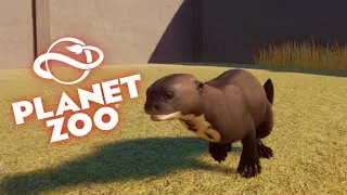 DLC ANIMALS BATTLE ROYALE| Planet Zoo