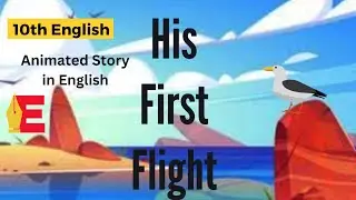 His first flight class 10 animation in English | 10th samacheer English | His First flight Animation