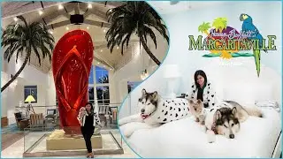 Margaritaville Resort Orlando | Pet friendly resort next to Walt Disney World