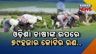 Odisha Farmers Crushed By ₹79,000 Cr Debt | Shocking NABARD Report Reveals Ground Reality