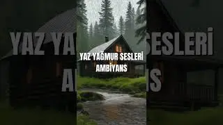 YAZ YAĞMUR AMBİYANSI