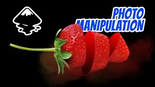 Photo Manipulation / Image Slices Using Inkscape