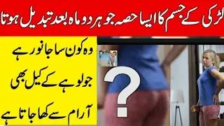 Most Amazing Facts About Girls and Animals | Reality tv | Facttechz | Interesting facts