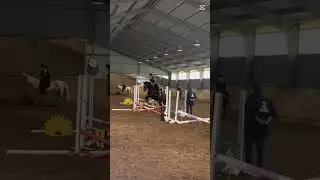Flott❤️🥳 #equestrian #love #horses