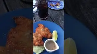 The Bavarian in Manly Wharf, Sydney Australia. ASMR Travel