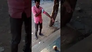 Velgode Munir broken coconut